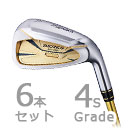 BERES(ベレス) IE-06 アイアン 6本組(6-11) ARMRQ X 43  4Sグレード/本間ゴルフ 