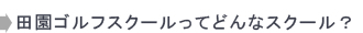 �ǂ�ȃX�N�[���H