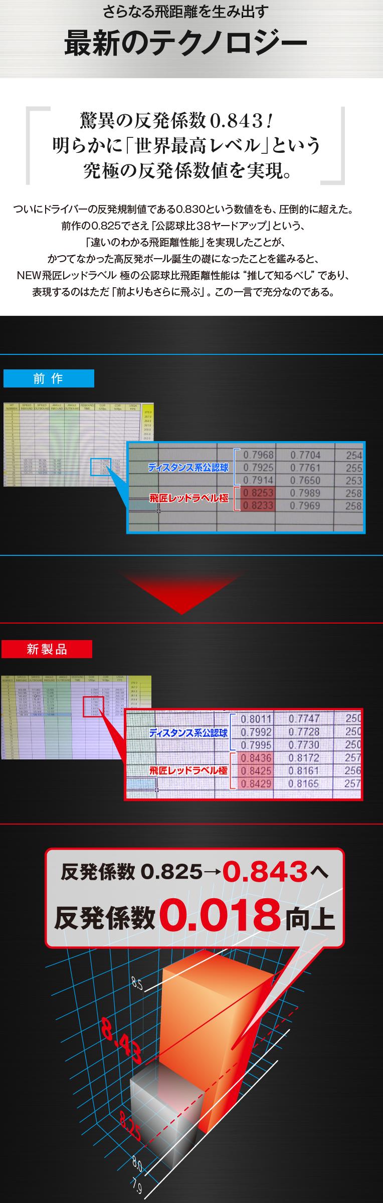 飛匠 ゴルフボール 